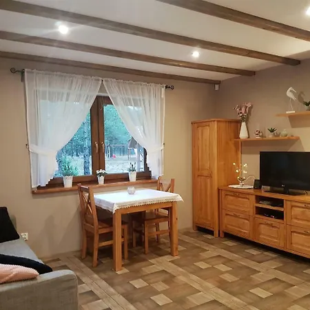 Ferienhaus Jeziorkowy Domek Na Kaszubach *